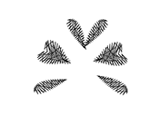 monica parentheses